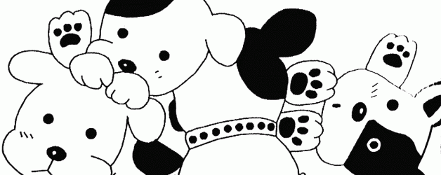 Des chiots akita inu prévus pour Octobre 2020