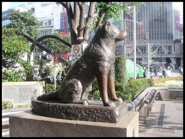 hachiko-statue
