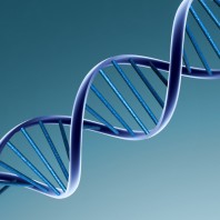 Maladies génétiques : individus atteints, porteurs sains et sains.